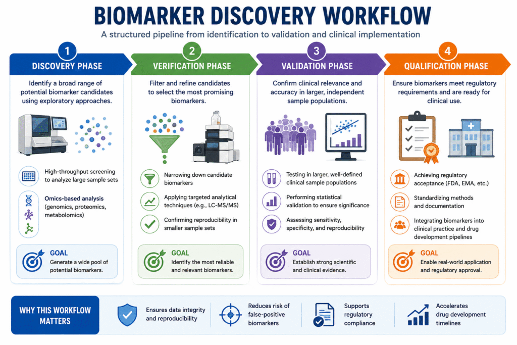 Biomarker Discovery Workflow Biomarker Discovery Workflow