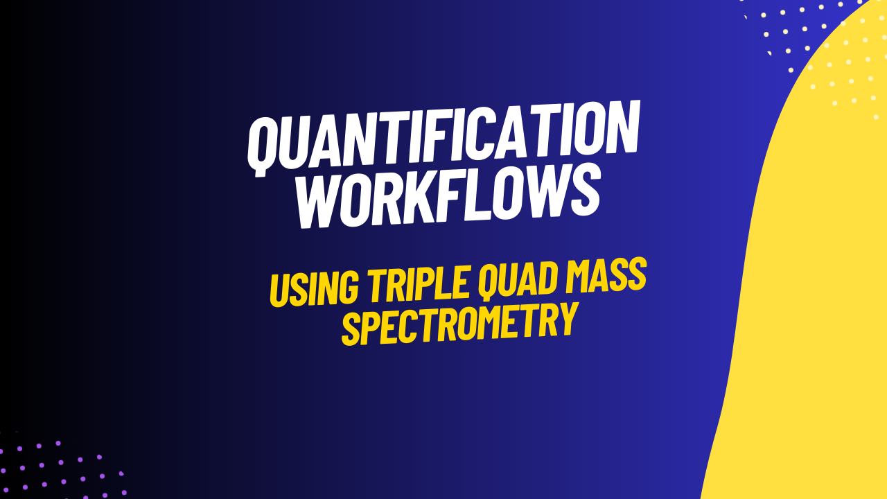 The Quantification workflows using Triple Quad Mass Spectrometry