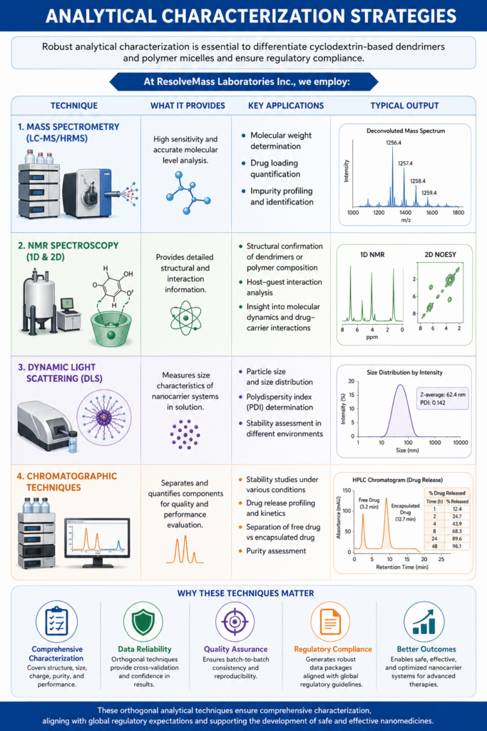 Analytical Characterization Strategies