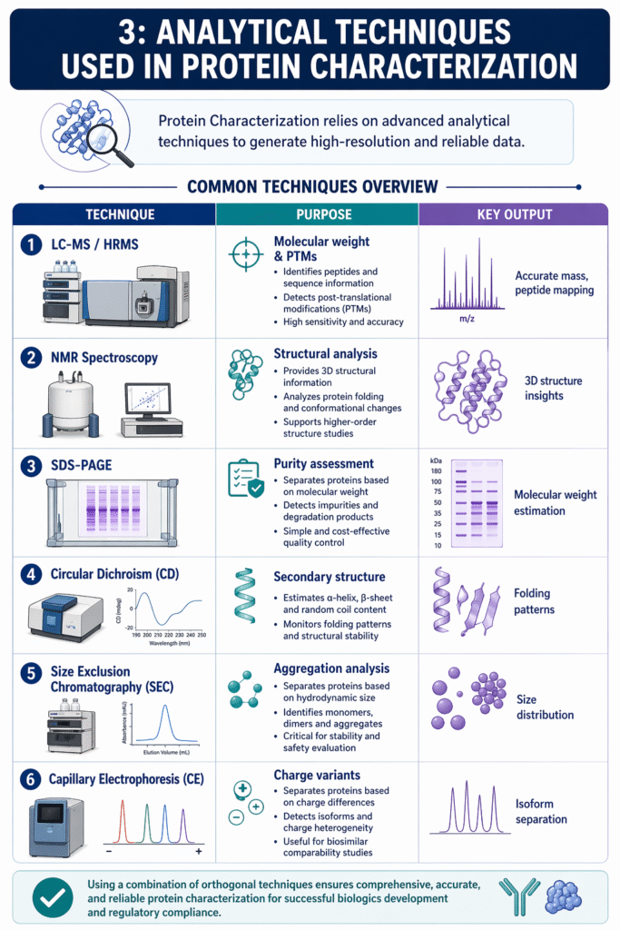 Analytical Techniques Used in Protein Characterization