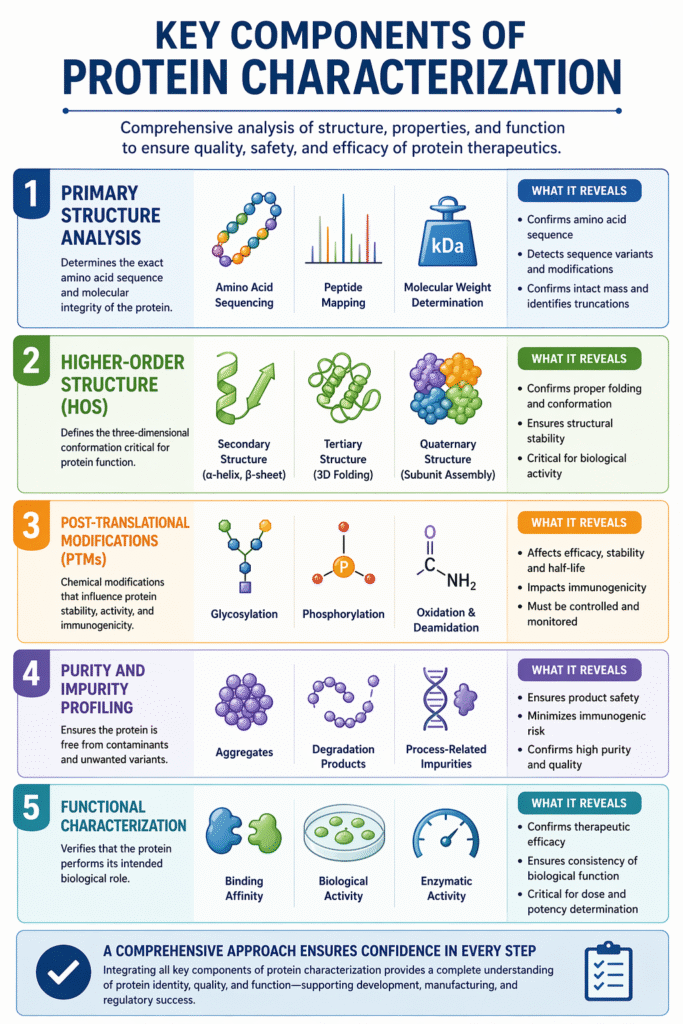 Key Components of Protein Characterization