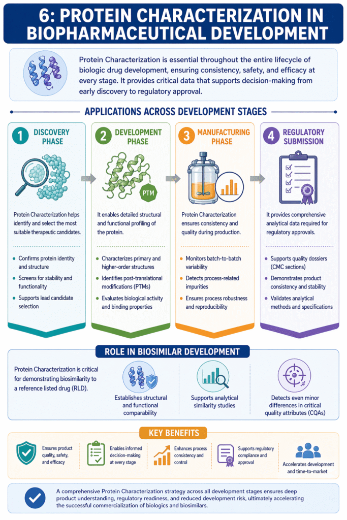 Protein Characterization in Biopharmaceutical Development