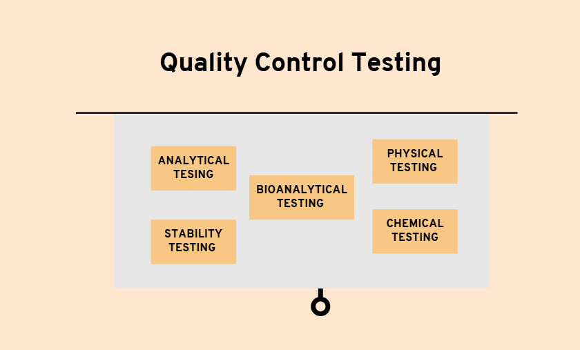 Screenshot 2025-01-29 004016