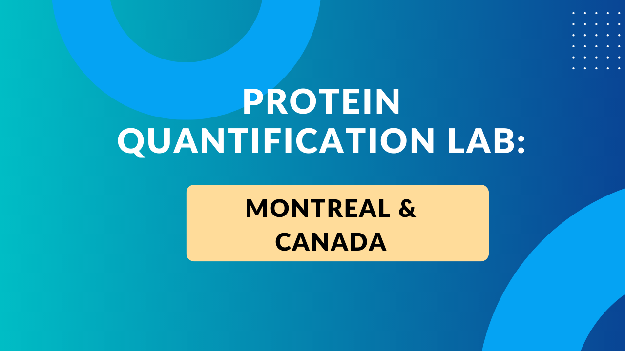 How to Choose the Right Protein Quantification Lab in Montreal & Beyond