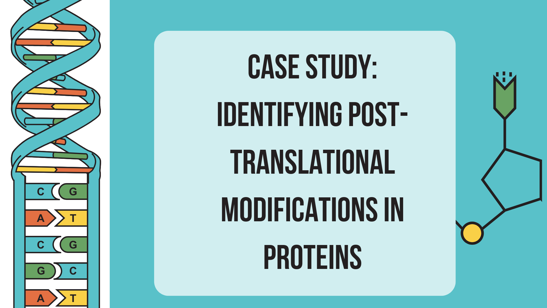 Peptide Mapping for PTM Analysis