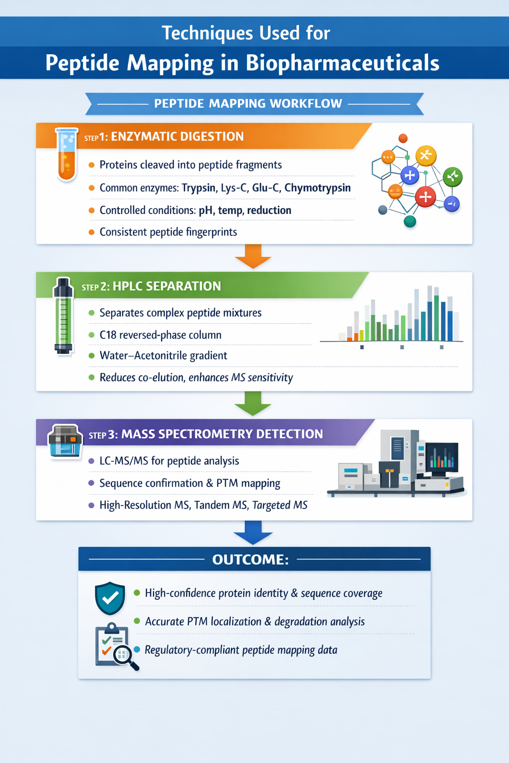 The Role of Peptide Mapping in Biopharmaceutical Quality Control