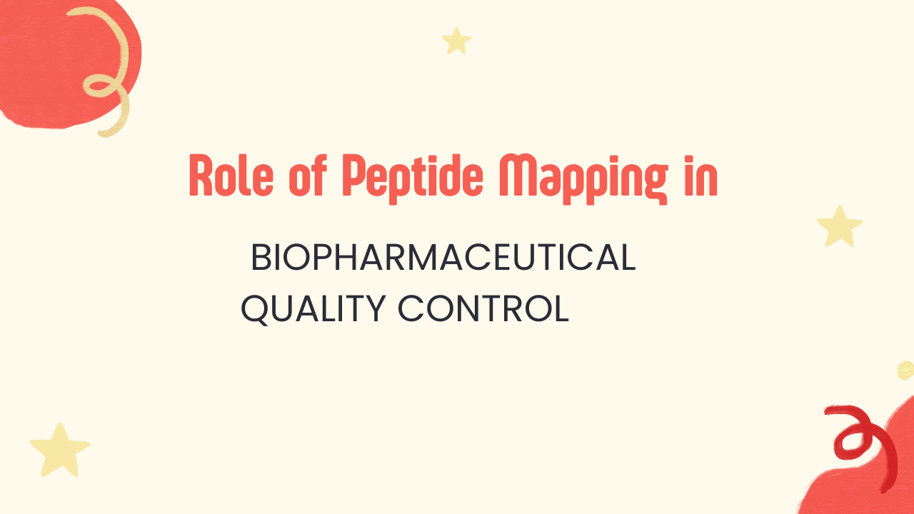 The Role of Peptide Mapping in Biopharmaceutical Quality Control