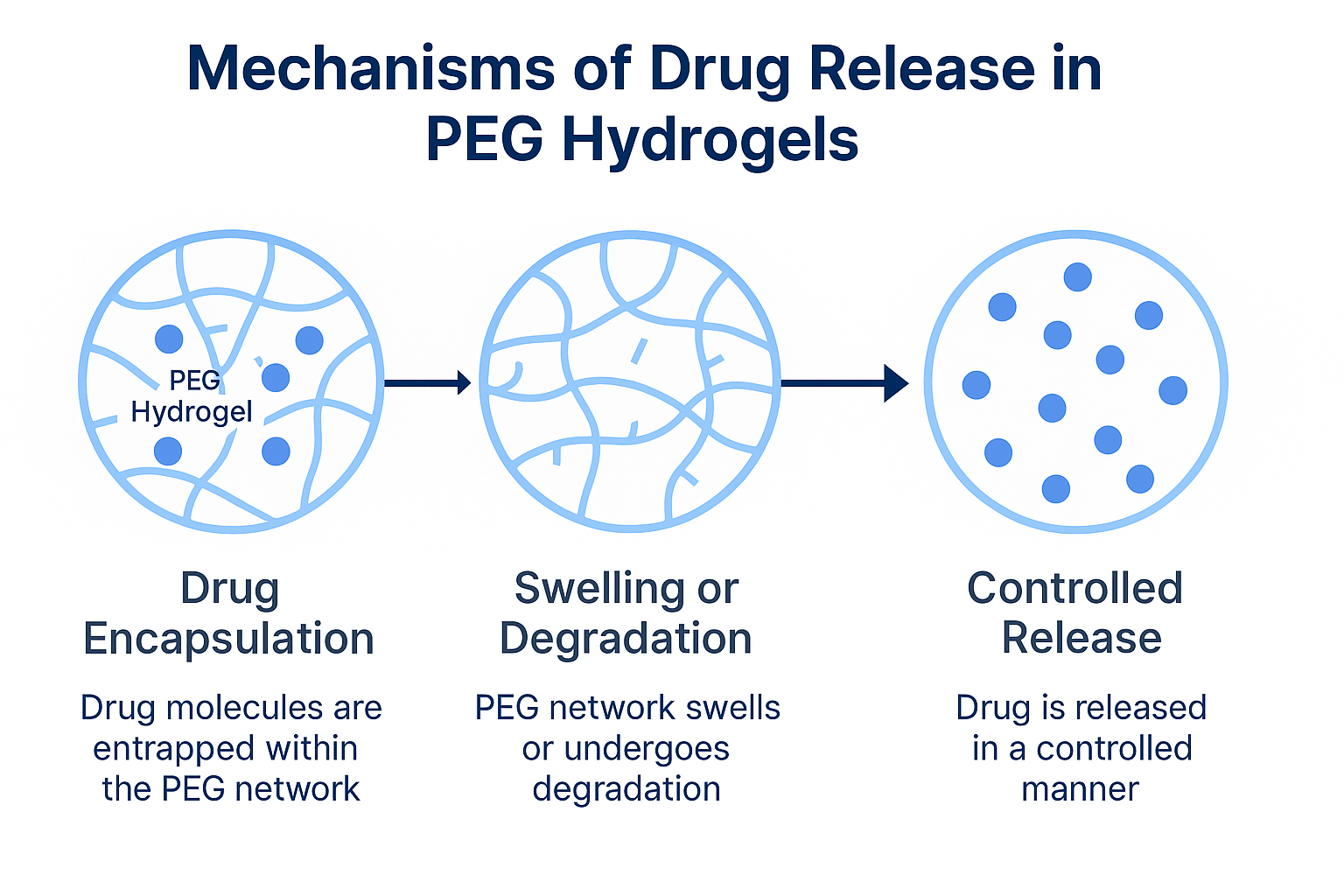 Poly(ethylene glycol) hydrogel release system