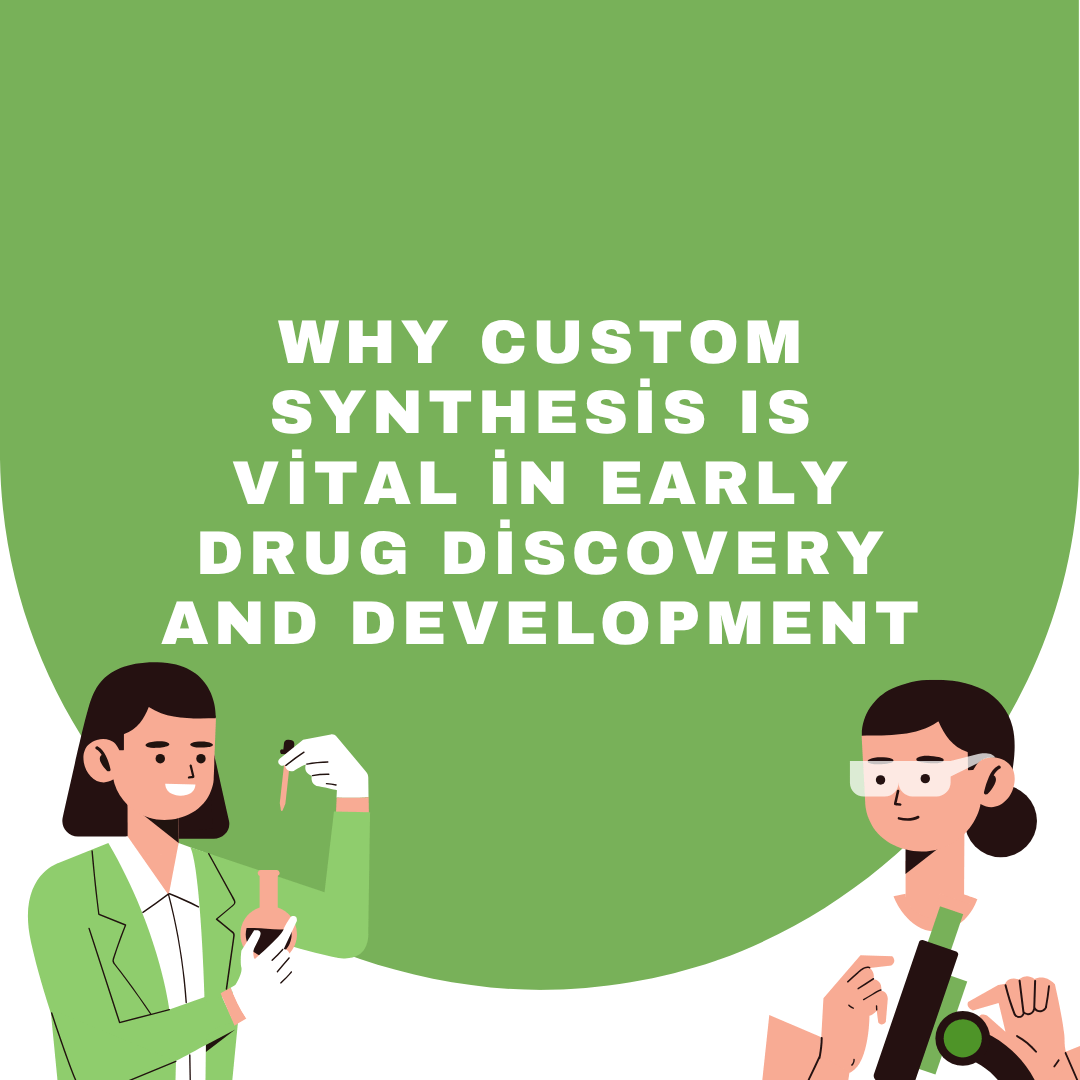 Custom Synthesis in Drug Discovery