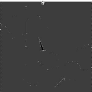 (3aR,6S,6aR)-6-(((tert-butyldiphenylsilyl)oxy)methyl)-2,2-dimethyldihydrofuro[3,4-d][1,3]dioxol-4(3aH)-one | CAS 1320269-76-8