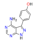 4-(4-amino-1H-pyrazolo[3,4-d]pyrimidin-3-yl)phenol | CAS 1293915-57-7