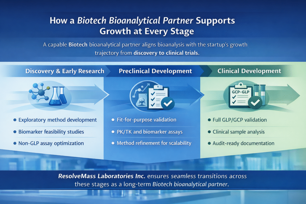 How a Biotech Bioanalytical Partner Supports Growth at Every Stage