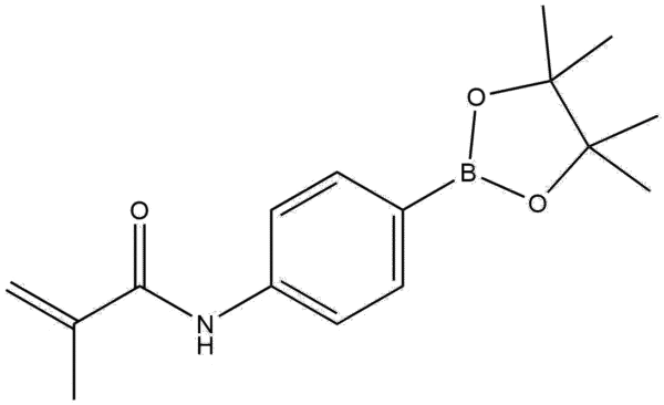 N-(4-(4,4,5,5-tetramethyl-1,3,2-dioxaborolan-2-yl)phenyl)methacrylamideCAS 1056904-41-6 N-(4-(4,4,5,5-tetramethyl-1,3,2-dioxaborolan-2-yl)phenyl)methacrylamide | CAS 1056904-41-6
