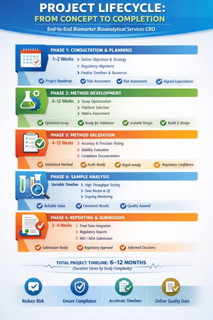 Project Lifecycle: From Concept to Completion