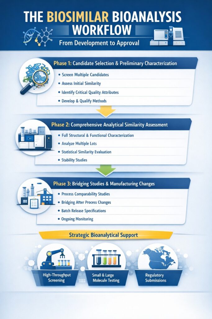 The Biosimilar Bioanalysis Workflow: From Development to Approval