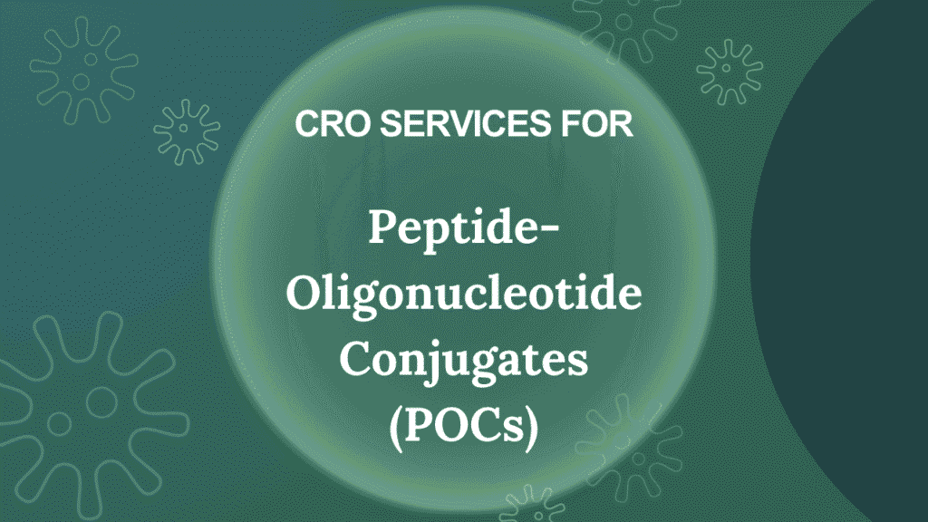 Peptide Oligonucleotide Conjugates CRO