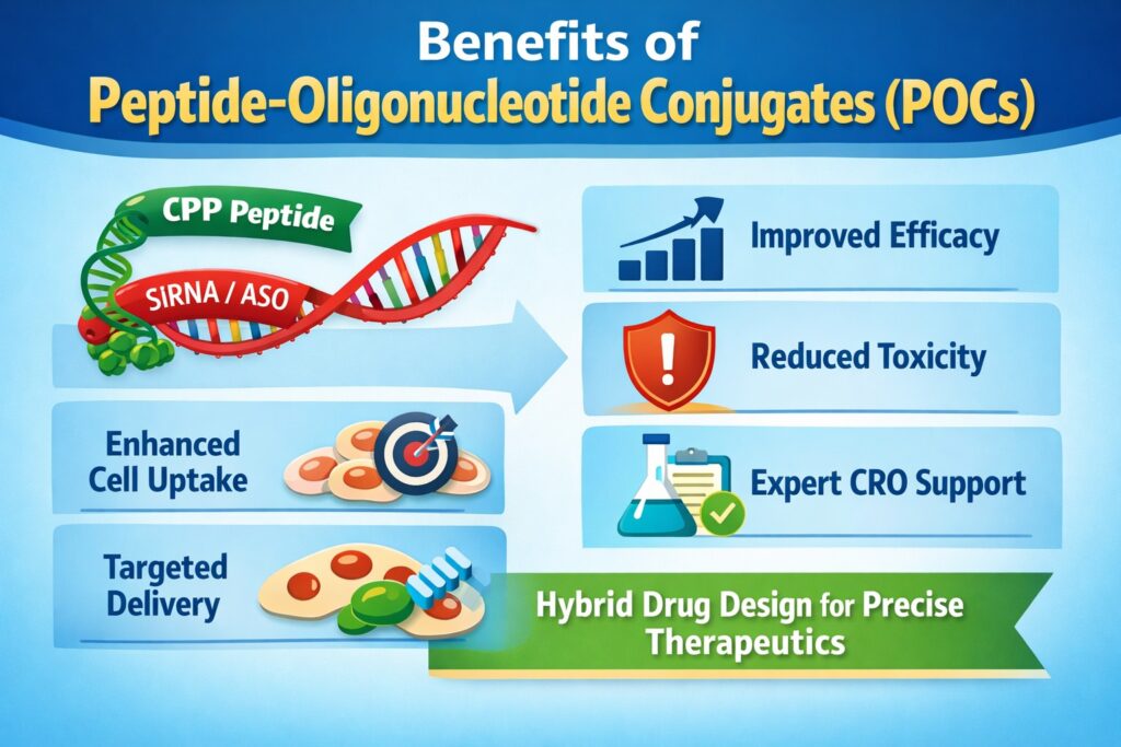 Peptide Oligonucleotide Conjugates CRO