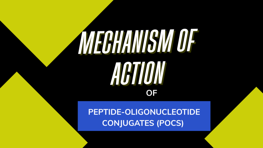 Peptide Oligonucleotide Conjugates Mechanism of Action