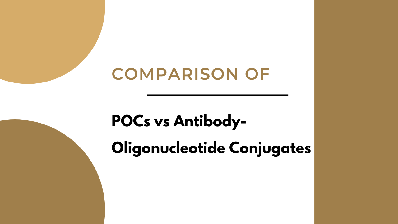 Peptide vs Antibody Oligonucleotide Conjugates