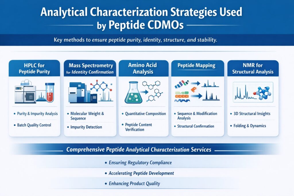 Core Analytical Characterization Strategies Used by Peptide CDMOs Core Analytical Characterization Strategies Used by Peptide CDMOs