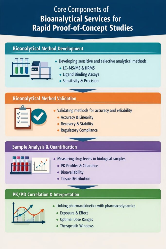 Core Components of Bioanalytical Services for Rapid Proof-of-Concept