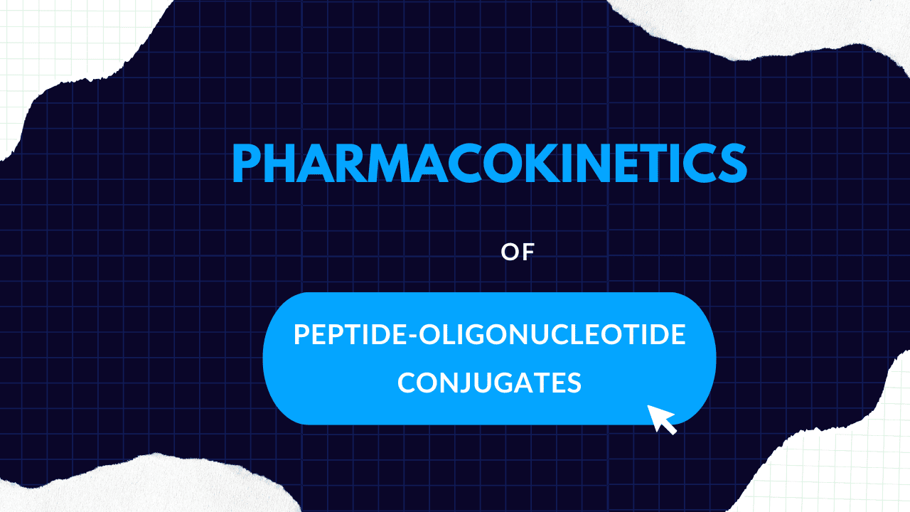 Peptide Oligonucleotide Conjugates Pharmacokinetics