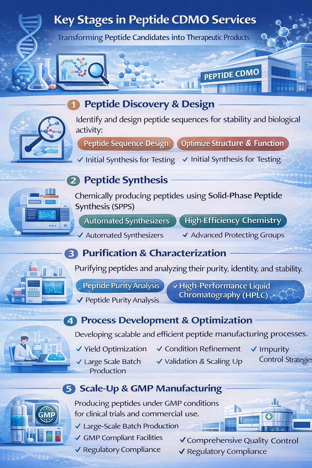 What Are Peptide CDMO Services? A Complete Guide for Pharmaceutical ...