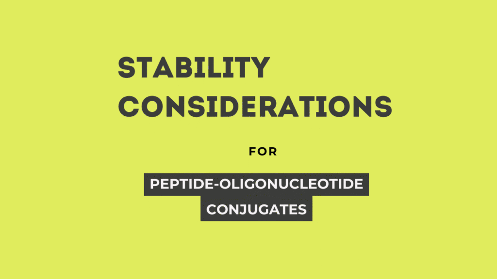Peptide Oligonucleotide Conjugate Stability
