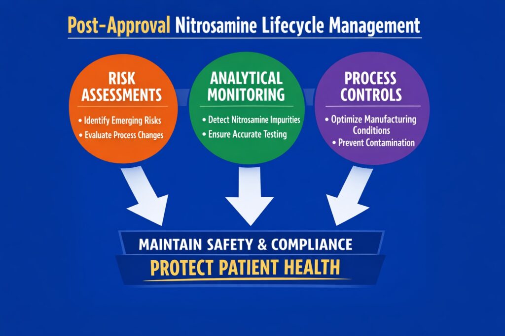 Nitrosamine Lifecycle Management