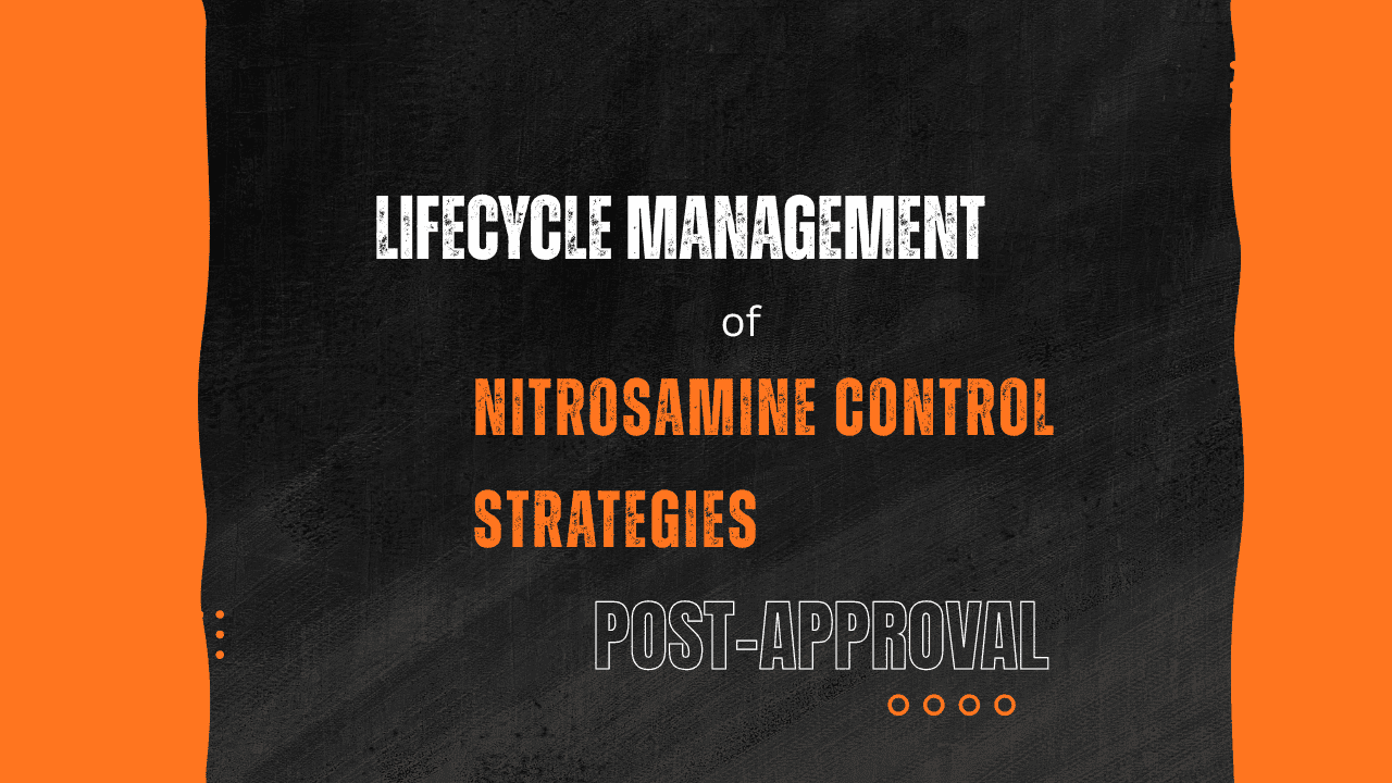 Nitrosamine Lifecycle Management