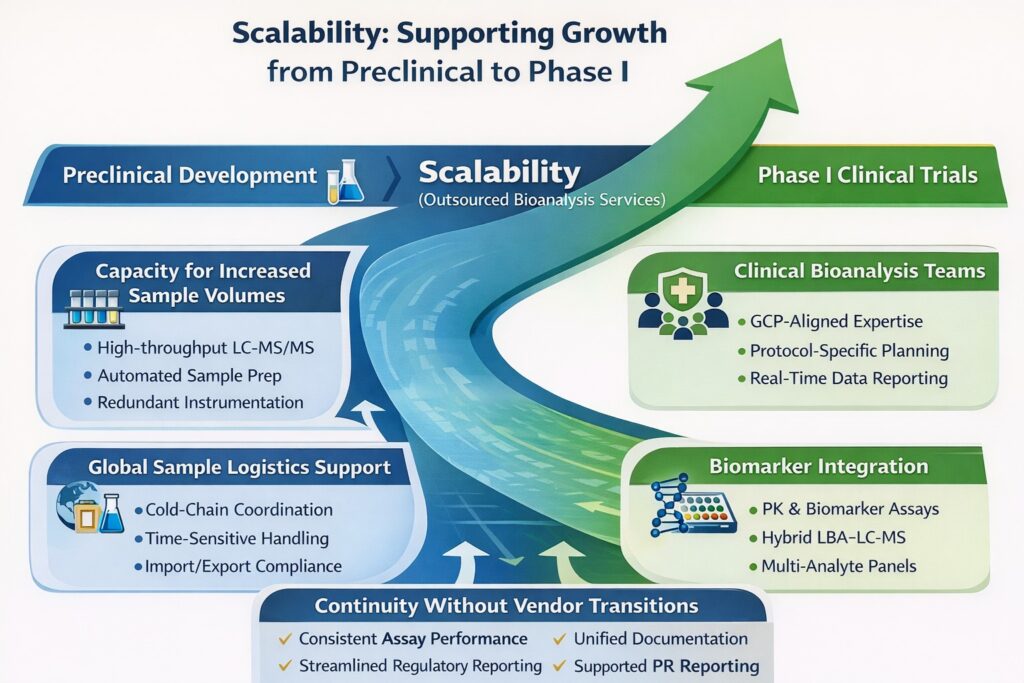 Scalability Supporting Growth from Preclinical to Phase I Scalability: Supporting Growth from Preclinical to Phase I