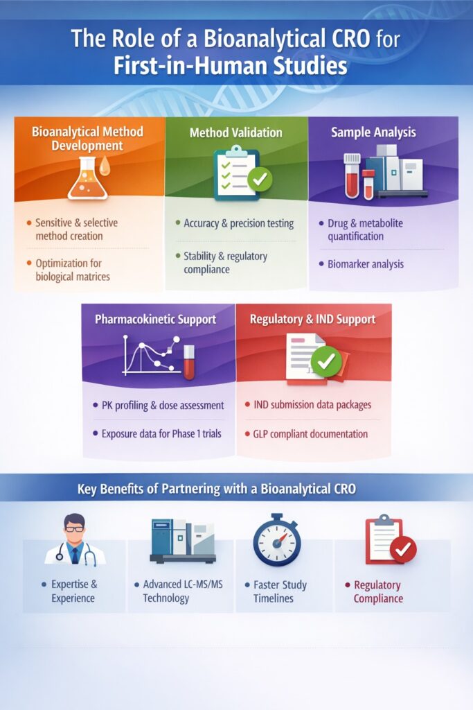The Role of a Bioanalytical CRO for First-in-Human Studies