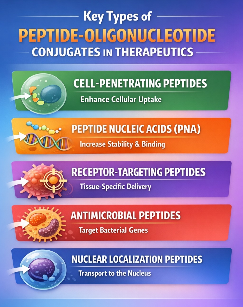 Types of Peptide Oligonucleotide Conjugates