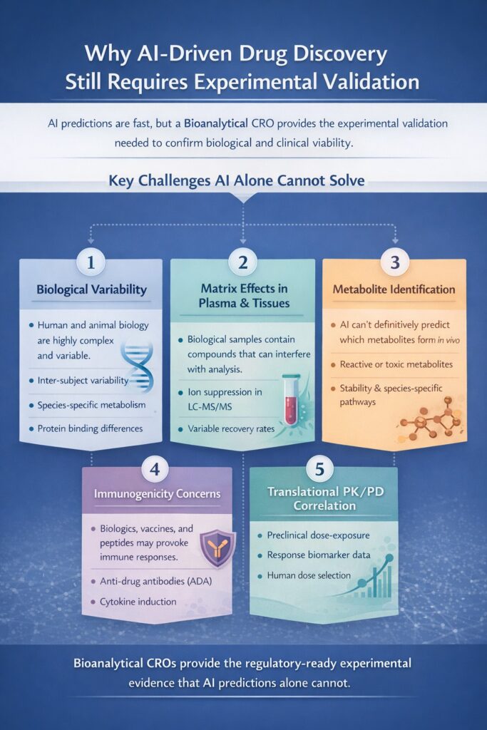 Why AI-Driven Drug Discovery Still Requires Experimental Validation