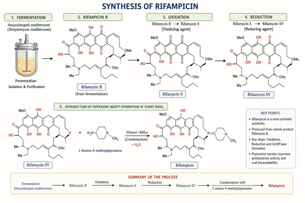 Nitrosamine Testing for Rifampicin
