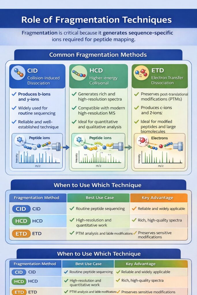 Role of Fragmentation Techniques