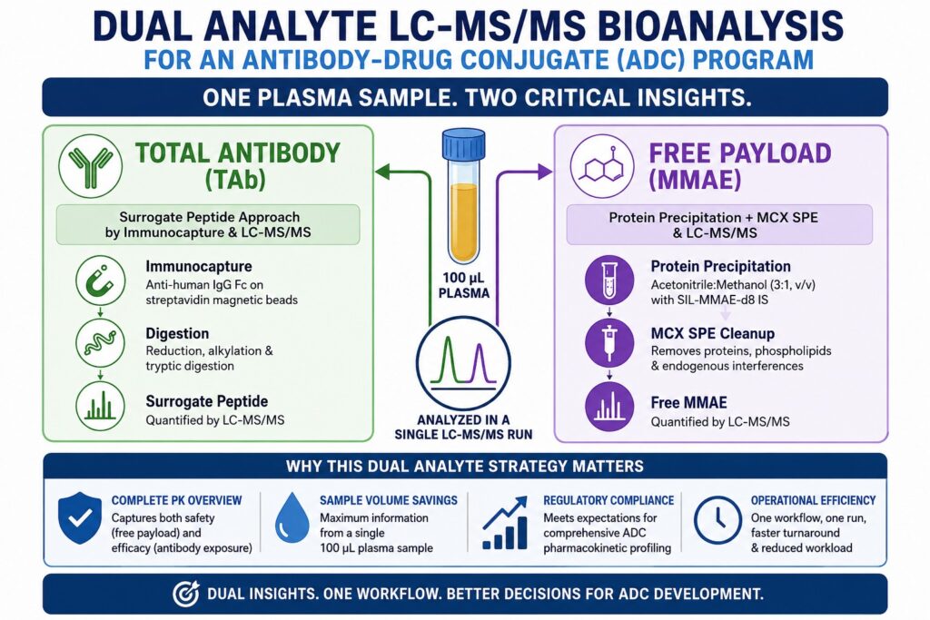 Bioanalysis for an Antibody-Drug Conjugate Program