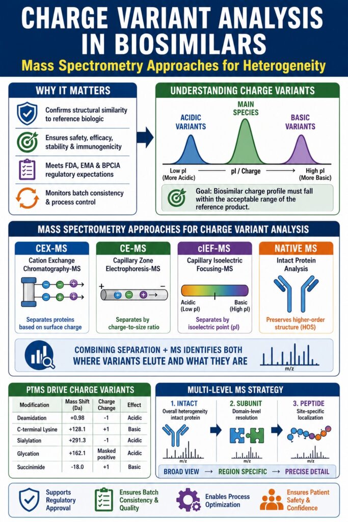 Charge Variant Analysis in Biosimilars