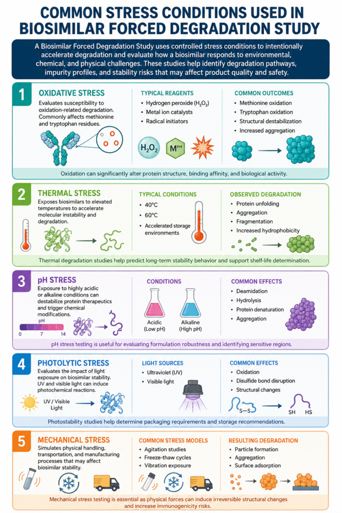 Common Stress Conditions Used in Biosimilar Forced Degradation Study
