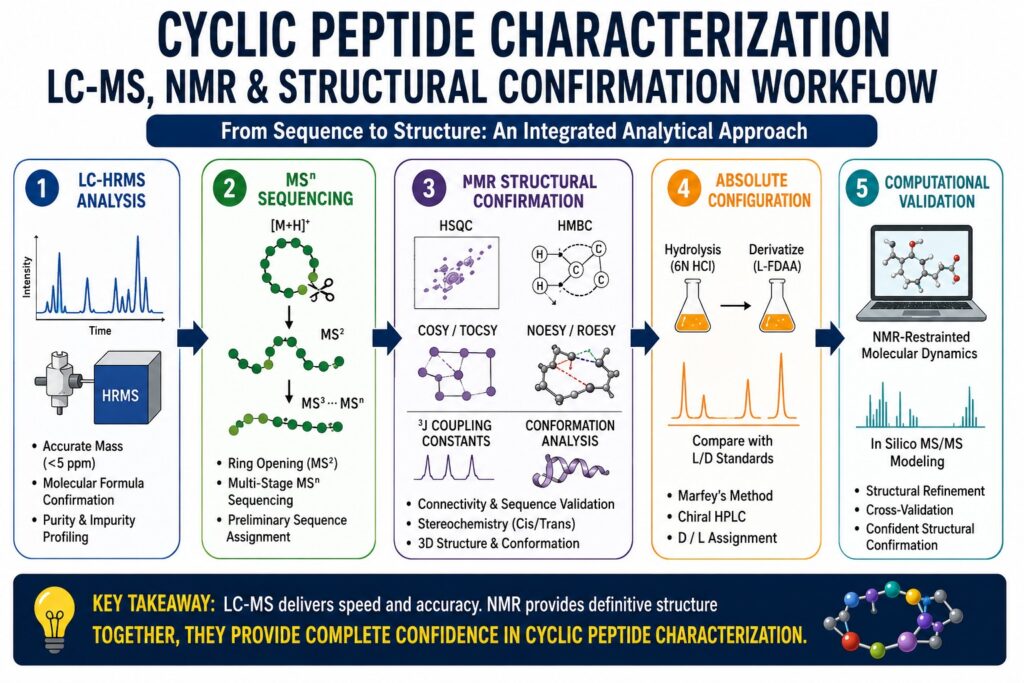 Cyclic Peptide Characterization