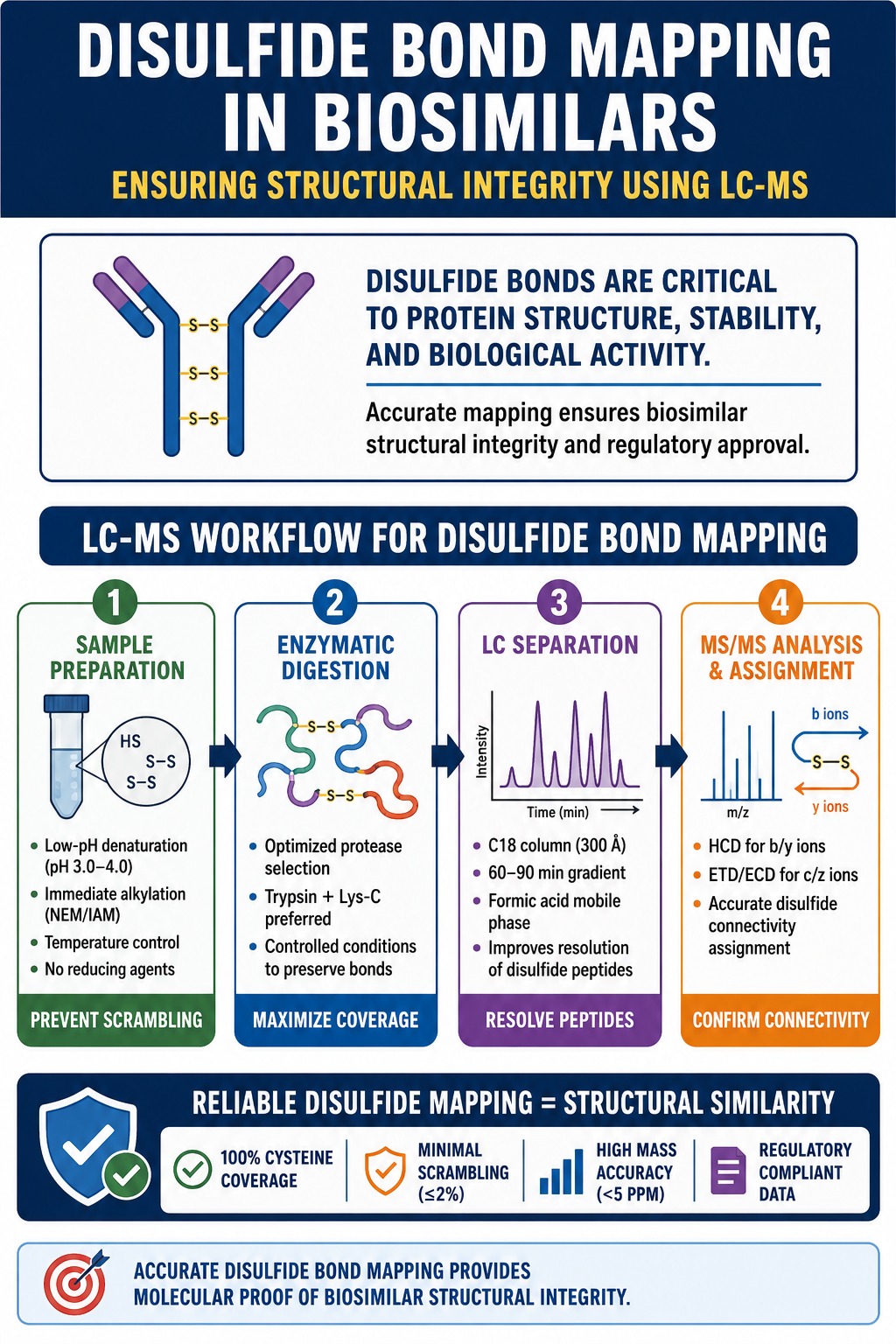Disulfide Bond Mapping in Biosimilars
