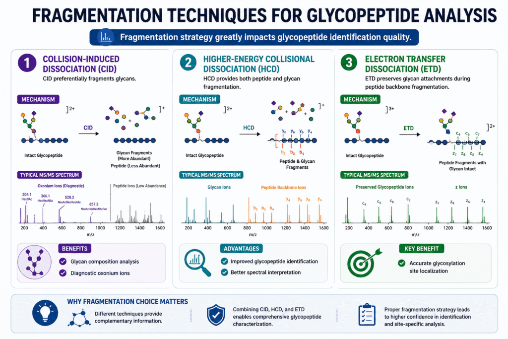 Fragmentation Techniques for Glycopeptide Analysis Fragmentation Techniques for Glycopeptide Analysis