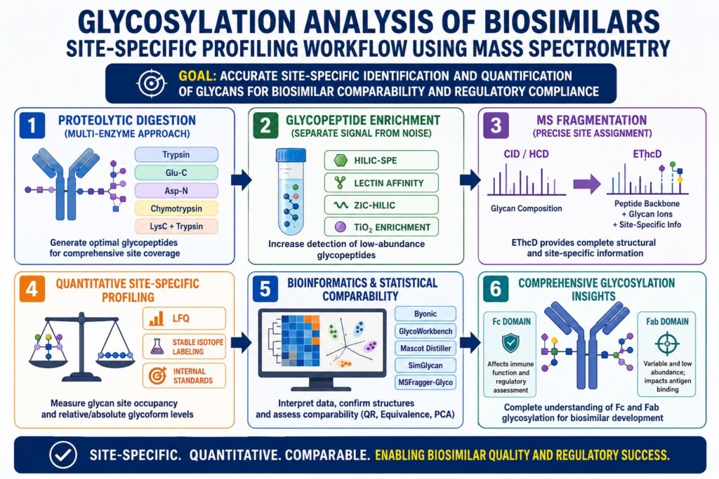Glycosylation Analysis of Biosimilars