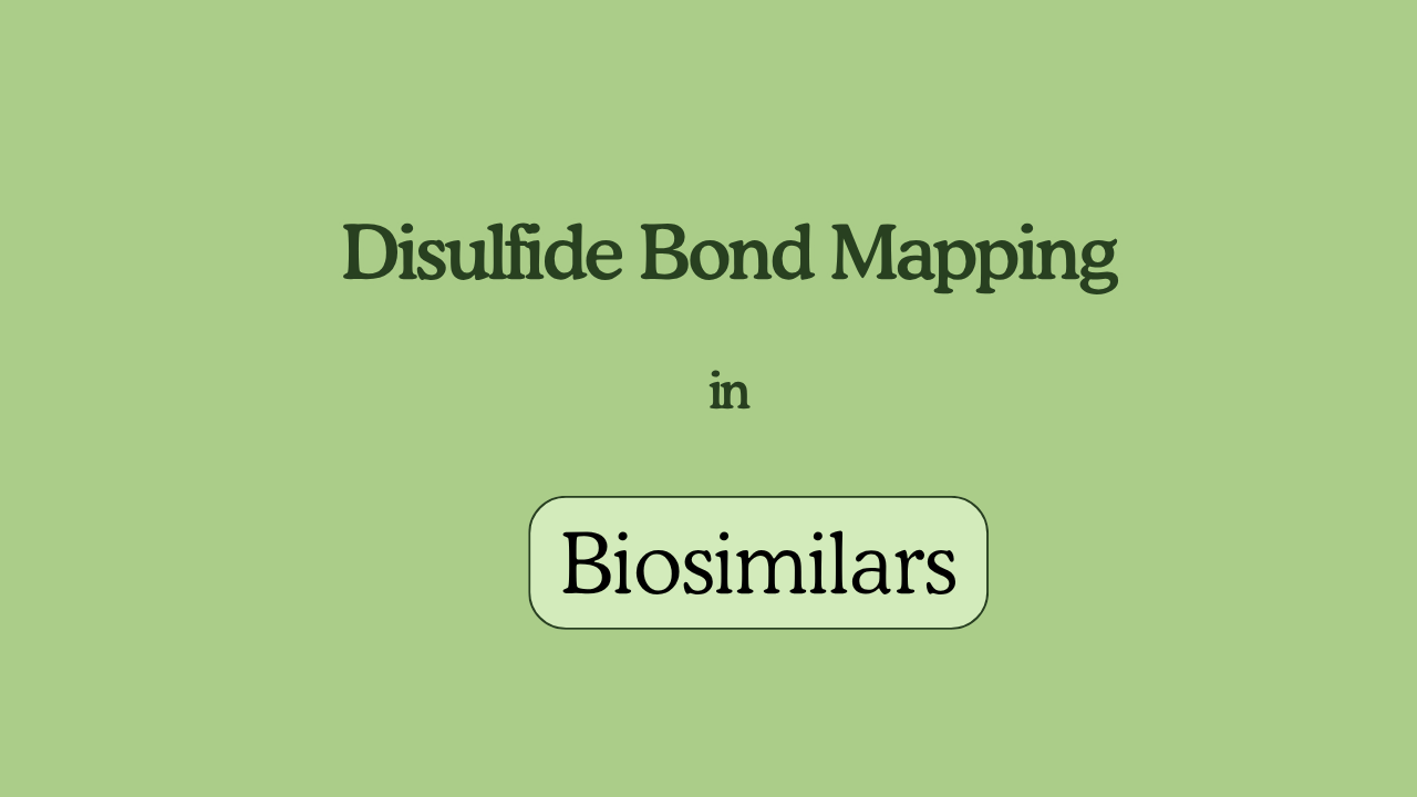 Disulfide Bond Mapping in Biosimilars