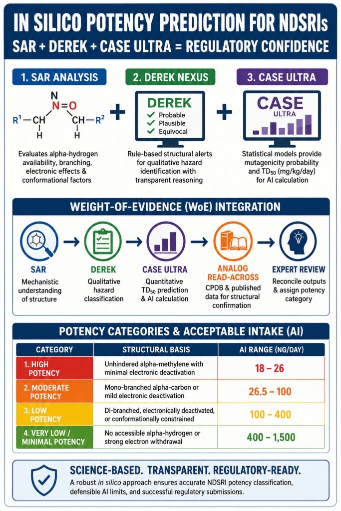 In Silico Potency Prediction for NDSRI