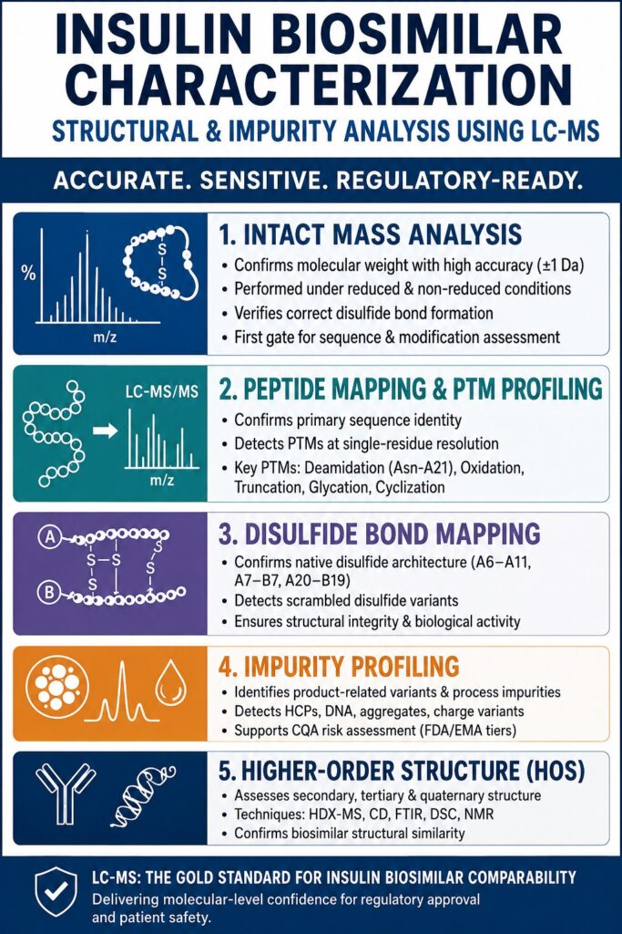 Insulin Biosimilar Characterization