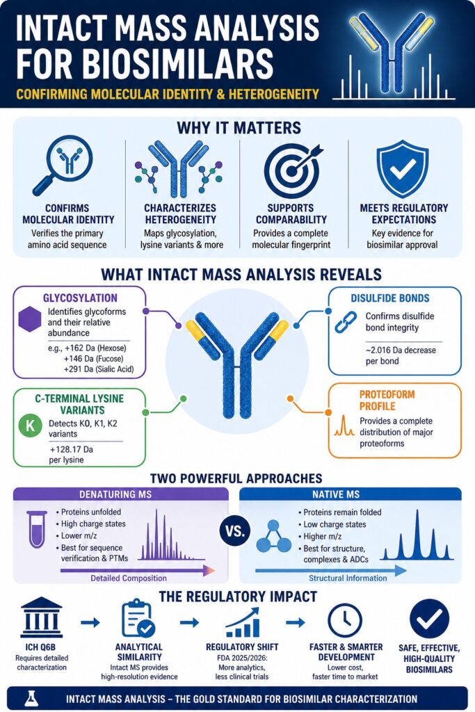 Intact Mass Analysis Biosimilars