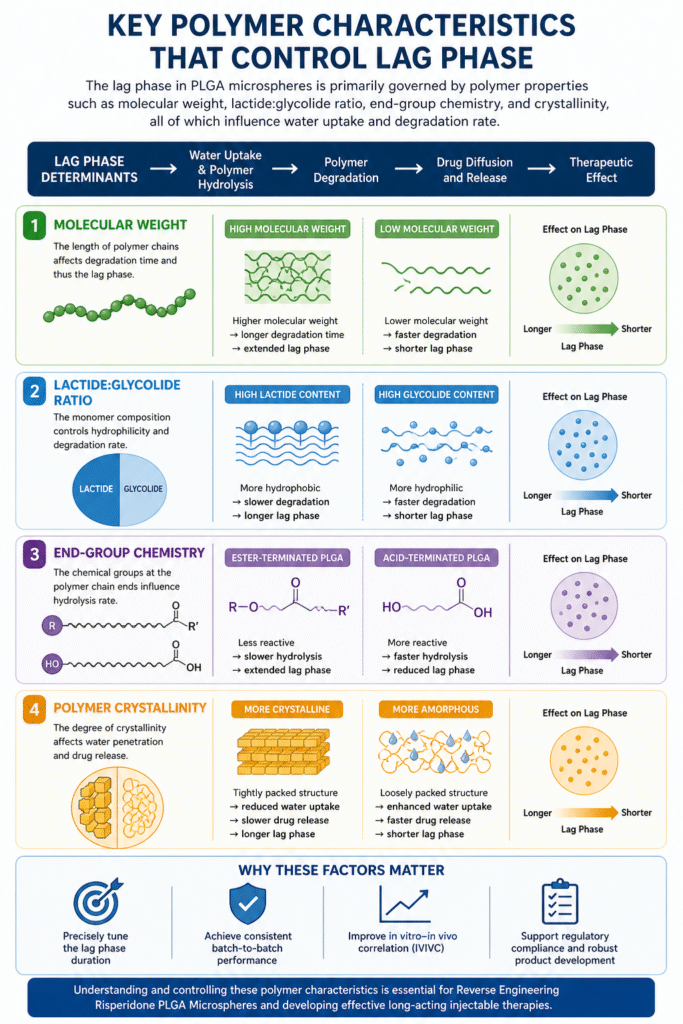 Key Polymer Characteristics That Control Lag Phase