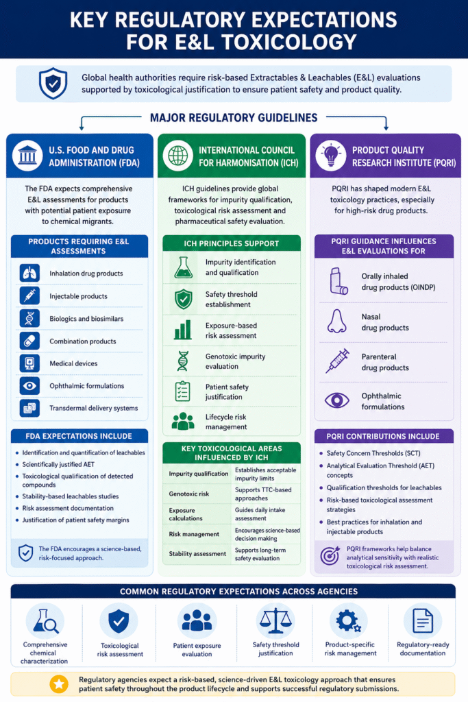 Key Regulatory Expectations for E&L Toxicology