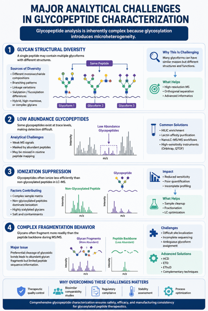 Major Analytical Challenges in Glycopeptide Characterization Major Analytical Challenges in Glycopeptide Characterization